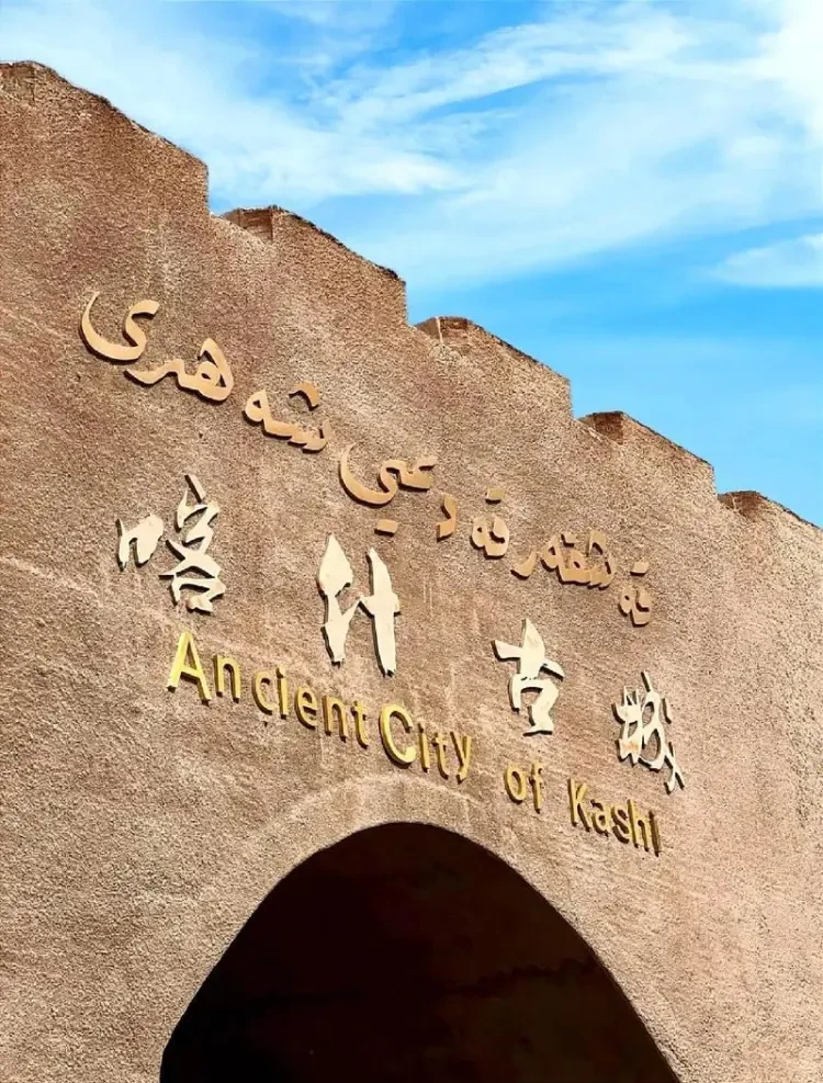 c02bd5a87e07fc476ee4d79558b4a1cf-sz_211883-1