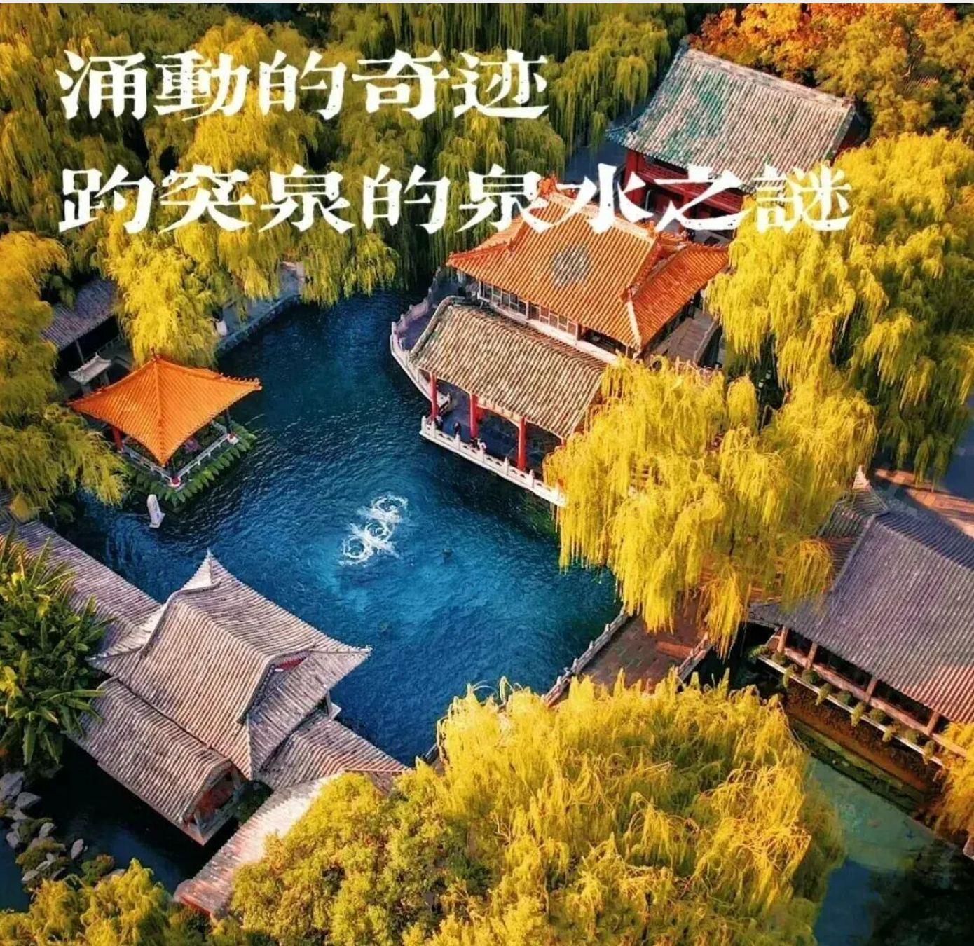 c03f74d4977be7e14ed7f8cfeb16717b