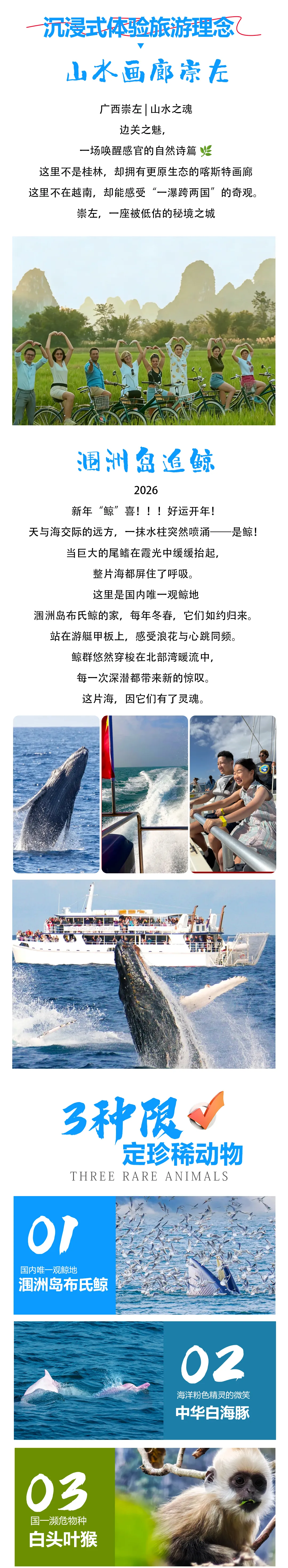 c0ab170937e9e14dabc0dffac9c52bb2-sz_3228312