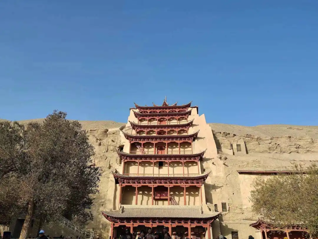 c0e701d2bdb8c00f240de60786484c8c-sz_449578