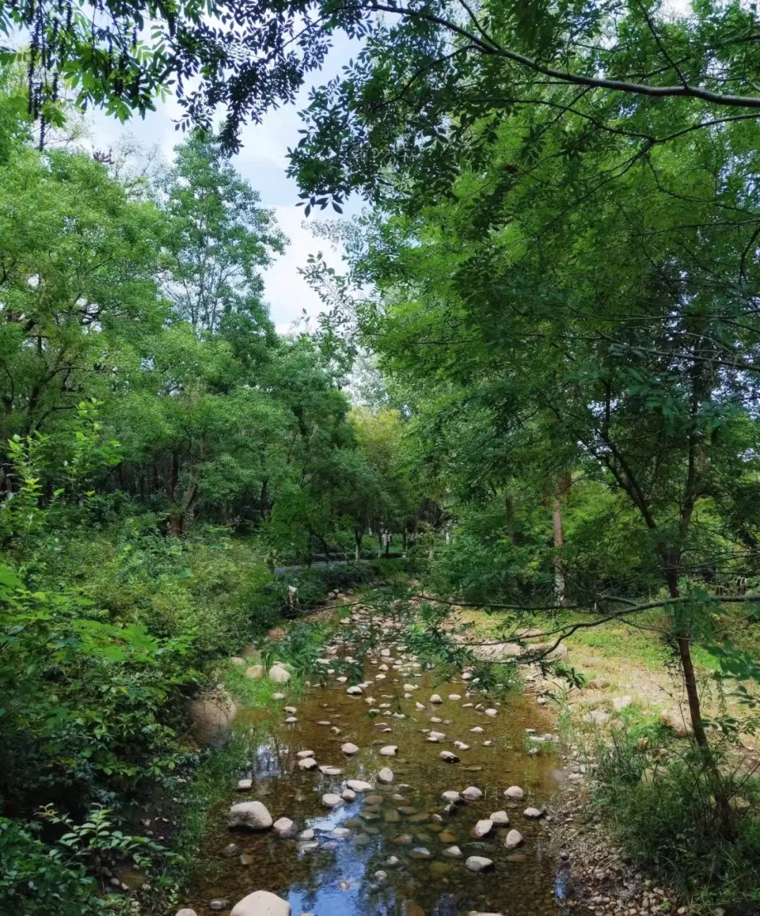 c136304f0d7ab74d93f4db454b4a6ec0-sz_1875258