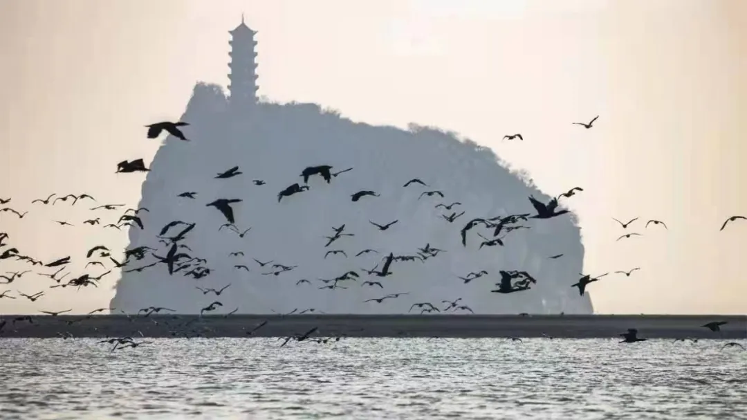 c15f36cac8640740217957c2647249e4-sz_311210 c15f36cac8640740217957c2647249e4-sz_311210