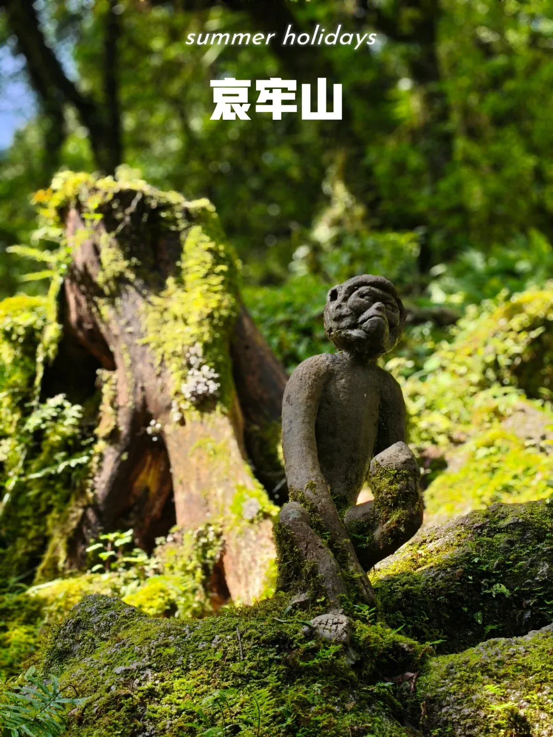 c1719aead4be693ae31b66607003b5fd-sz_3848610-1