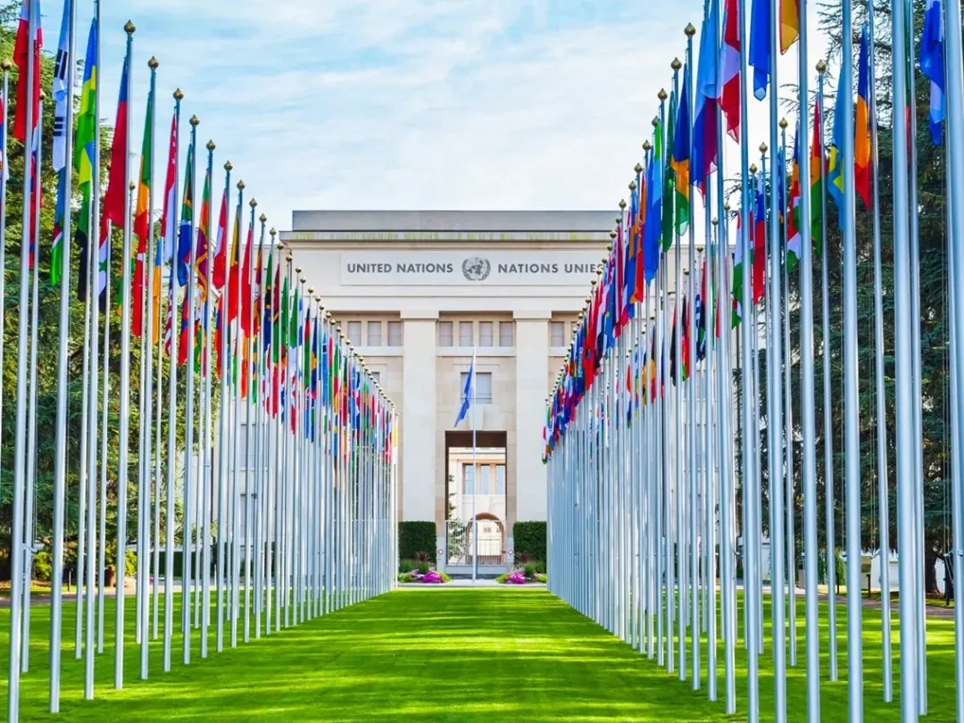 c172138a03dd4115316714b4e4c5dcd1-sz_469651