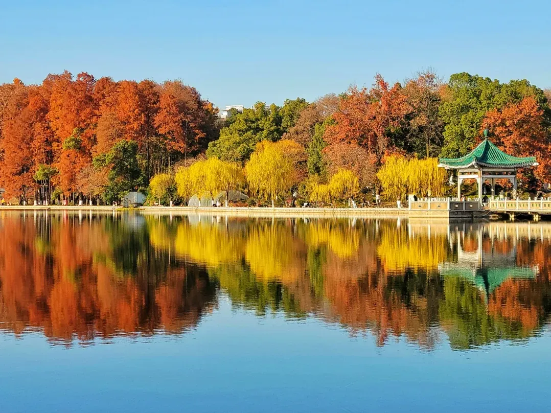 c1785956e3b7da37592408daf0530011-sz_1776938