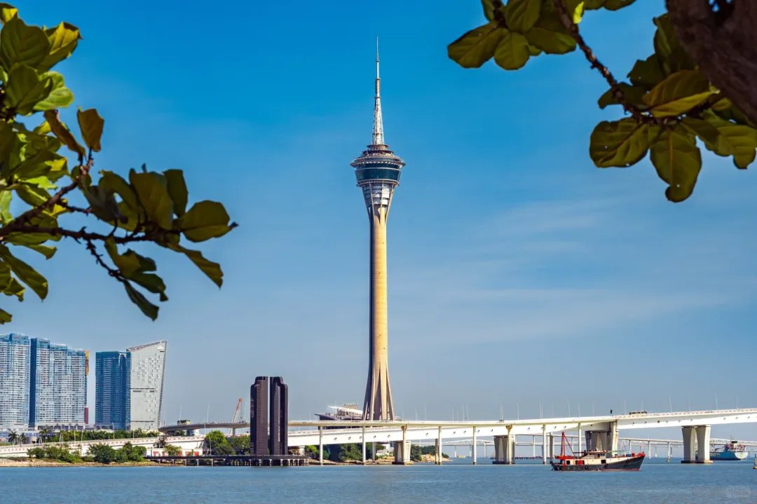 c1986d887655d2d17492f29e45ed3c33-sz_2336215