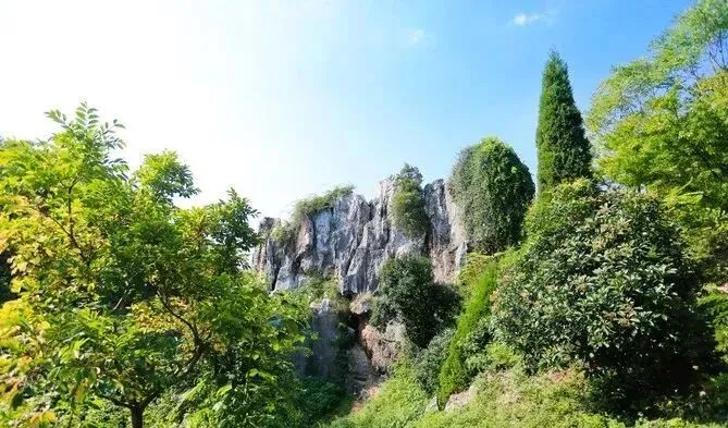 c1f0199d9b000f642b15373c4f26cb8c-sz_82837