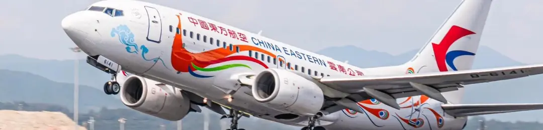 c1f8b55168d4c25e1555021751fcdfed-sz_106478