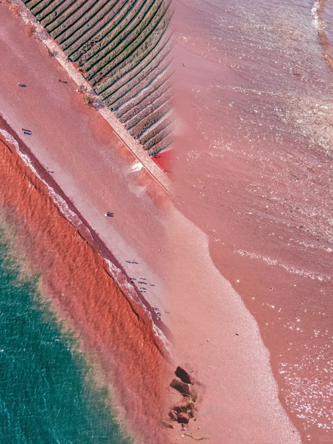 c228f0f1d577bacf3869f05ed81a42ed-sz_3522645