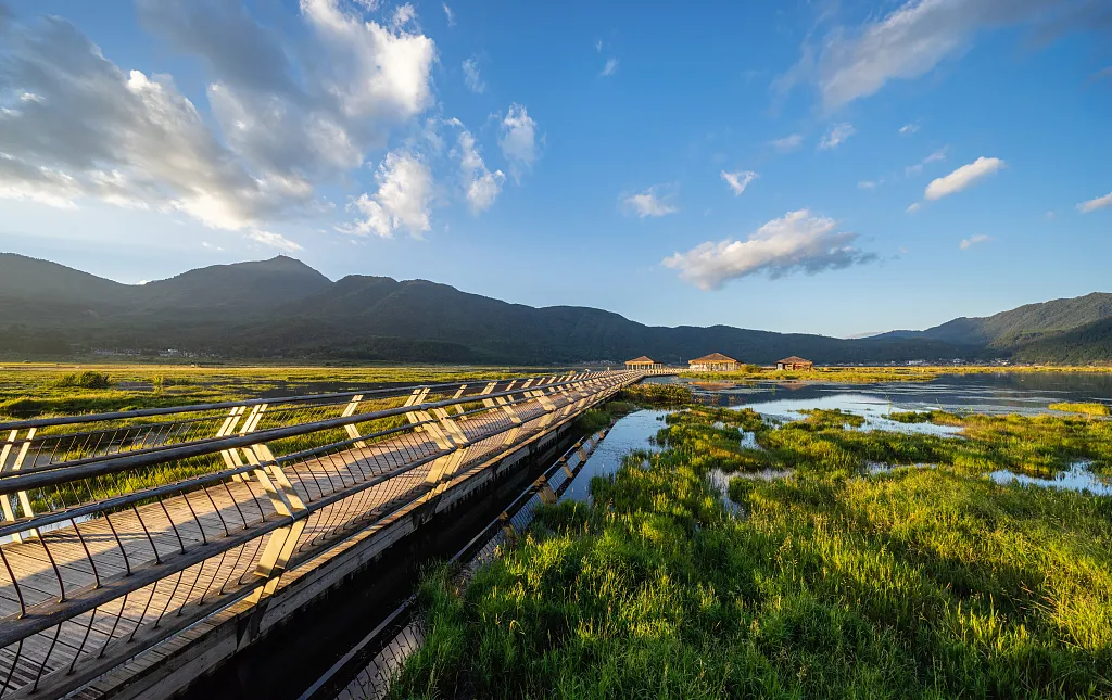 c2a40a569ad8f34262459e5f408c6bde-sz_815760