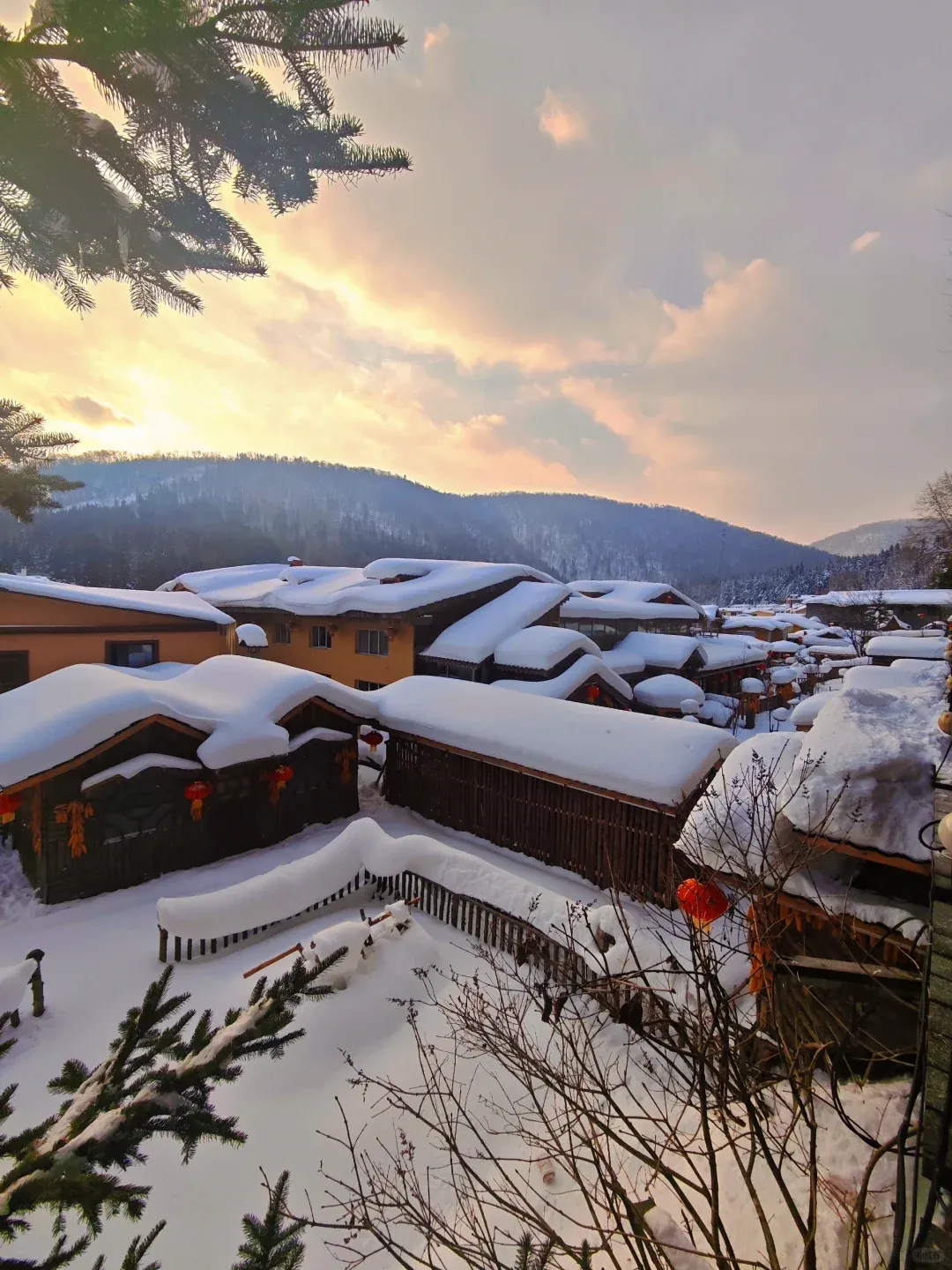 c2c68111da1a349d8fee0d6cd6e2feea-sz_2437165 c2c68111da1a349d8fee0d6cd6e2feea-sz_2437165