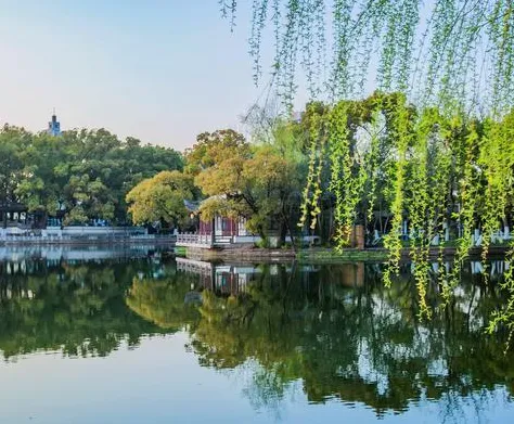 c2d9ebe41018f5f20763bcc02ba6b546-sz_500954