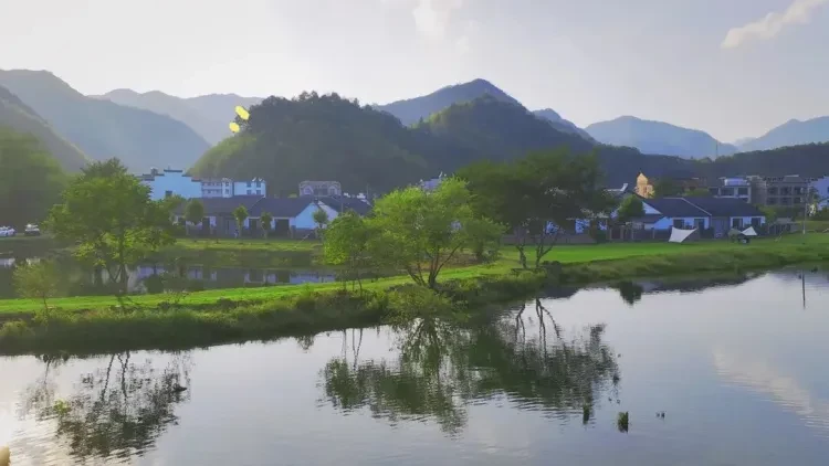 c32607f996ec0cdcb77b2e7c521af313-sz_87361