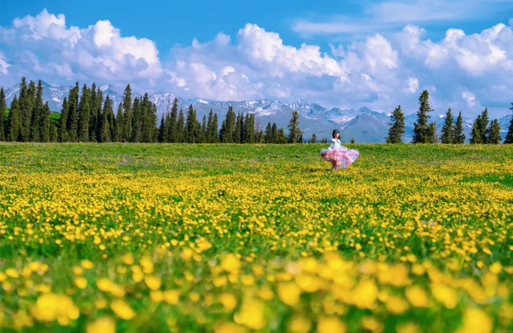 c343b364b4a6ea373e29476db7bbb34b-sz_1193526