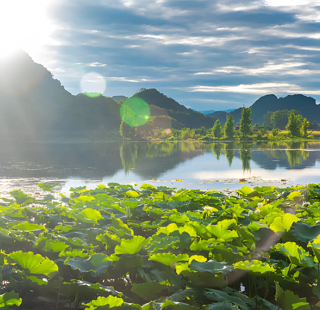 c3699982c000d1b87210e7f479288612-sz_5114646