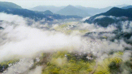 c3c6d12bbe5ef69b26752e81f7756e91-sz_1127757-1