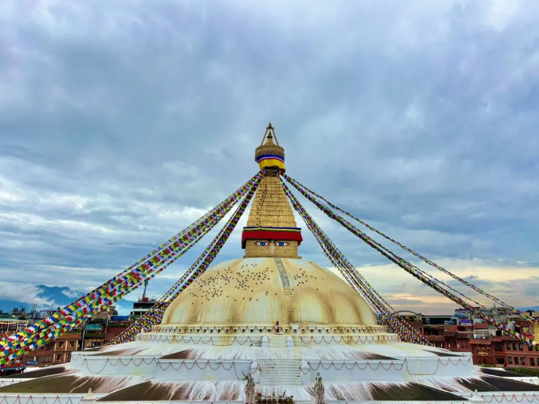 c3cb9004c23f00ee91b1afea989a69a7-sz_363556