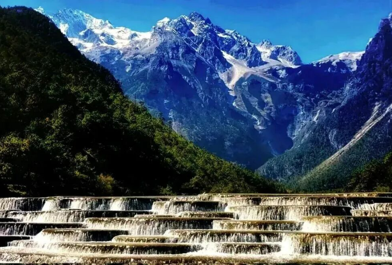 c3f65c5a5509ba318df6b8c9a85e3cc0