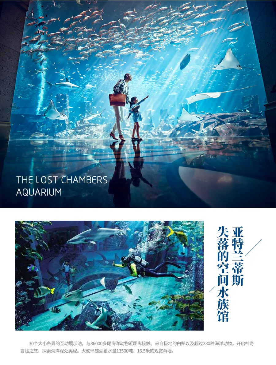 c3f7bb07439d0ee652c6450a5f3766e1-sz_1655643