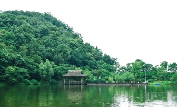 c3fdbcceaa849c7052fe68d468765519-sz_463561