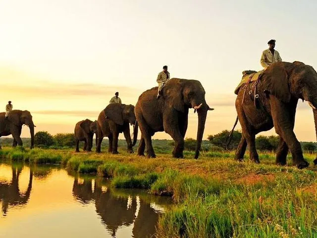 c417e35a21dd5b9c5b57d19ff85f006a-sz_590010