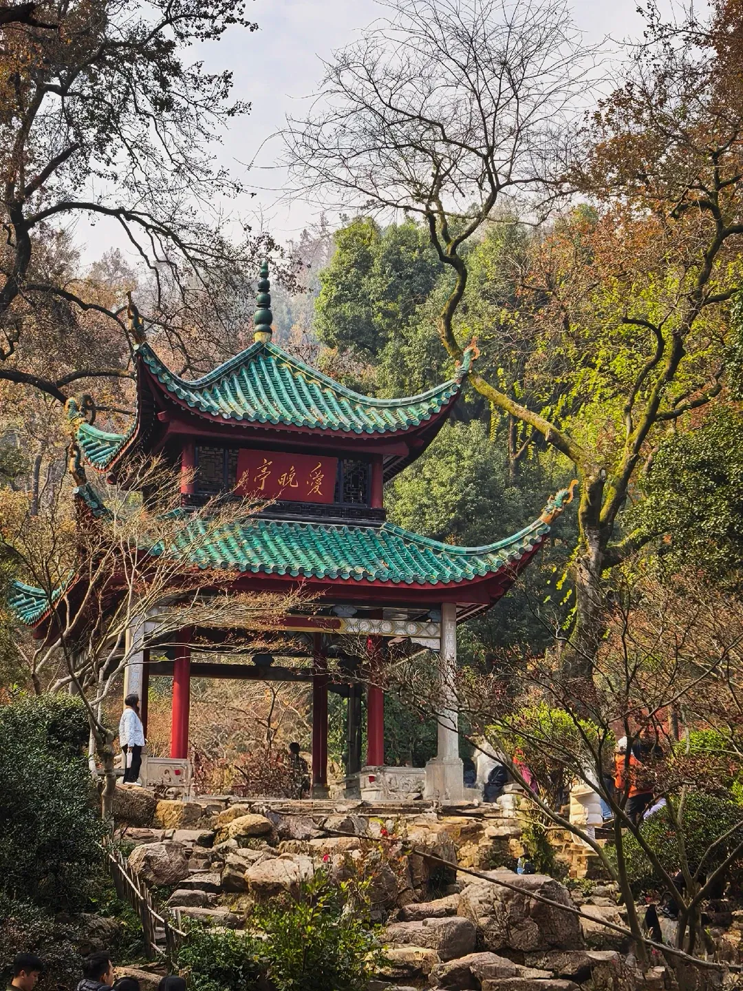 c4229fcb4159cb57eebe179968efac42-sz_3849769