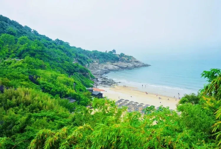 c494d50e61dc294bdc145548632ab8b2-sz_158893