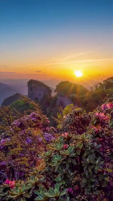 c4d4cfed441446abec22aac5bcb7be9c-sz_6986417