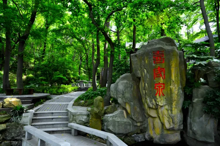 c4fc2033230f6befd5f97a766f014015-sz_1831372