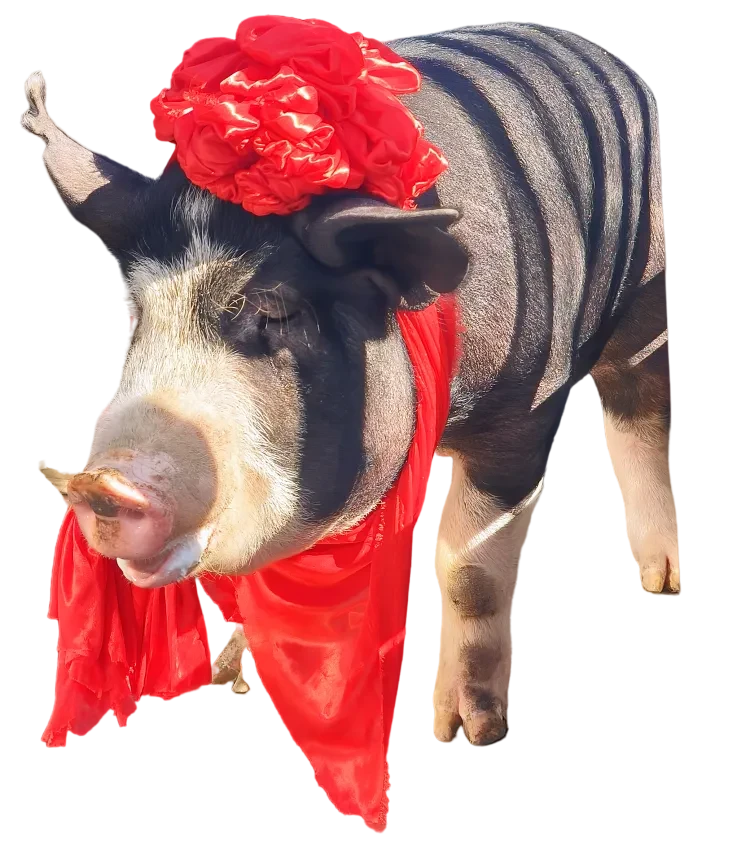 c51420410a6ff6bc206806fa6a706a0b-sz_6967861