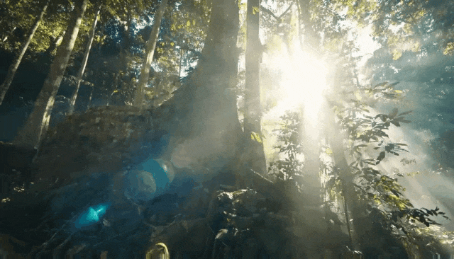 c56f67e27de70bacdee941cb6e5e3db7-sz_2211425