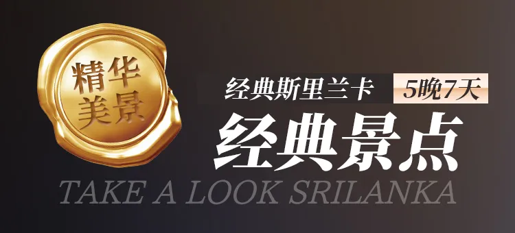 c5989beaaa0c75e75e518c3d79aa9f99-sz_123536