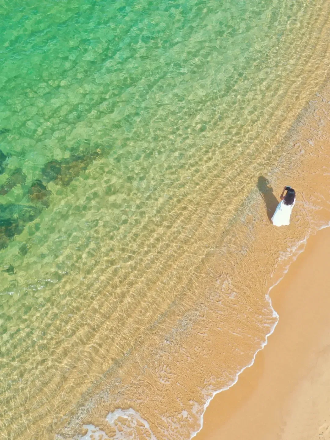 c5c04ab3496ea45e1e87fb956f8be495-sz_988989