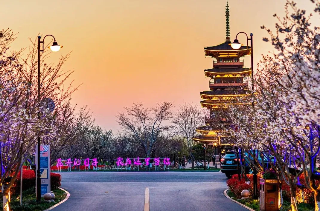 c5d50940101bca4c4ae415e97693062e-sz_1484362