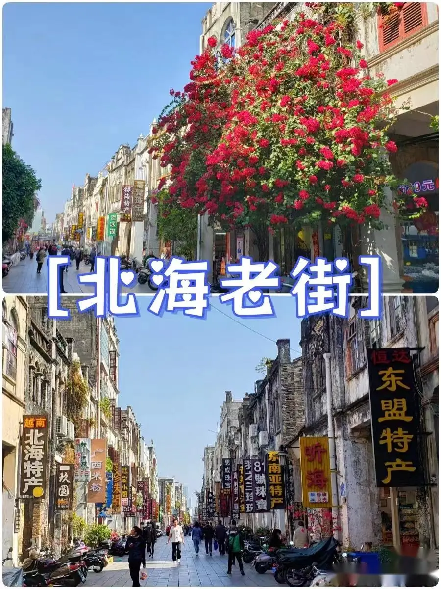 c5e1a9e5f9f8bec3bda7b45013492ef1-sz_251793