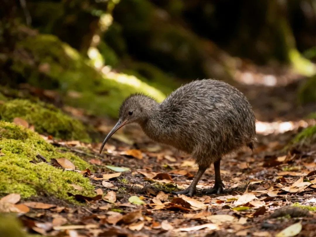 c5ee6b4ddf517c4f79efcb7fdda90967-sz_285158