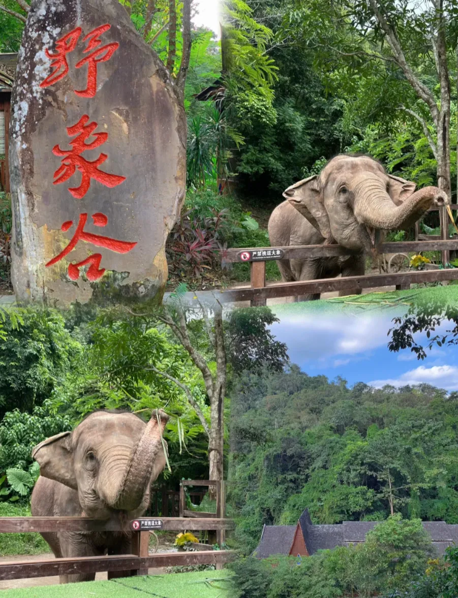 c62688d34bf629a3937ca852f75d5be0-sz_3202146