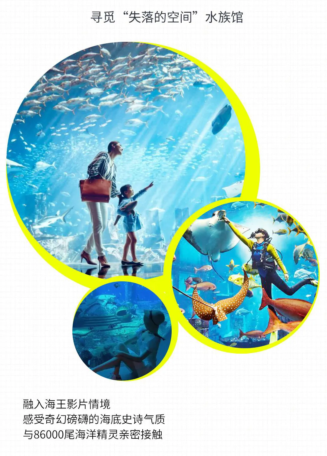 c648c183a8a50c39aa9f2e9e731ed81a-sz_2632079-2