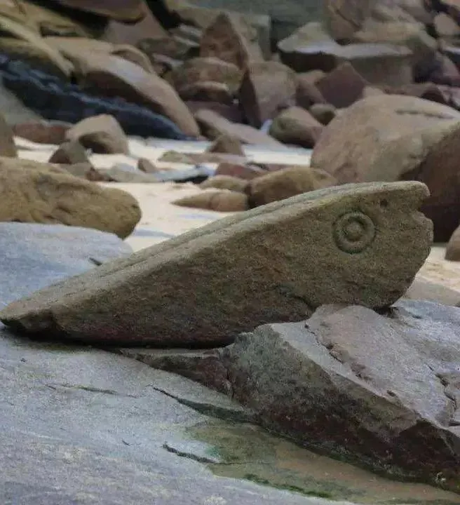 c66eed0c0cac18bd29004b08c2f7198f-sz_73447-1