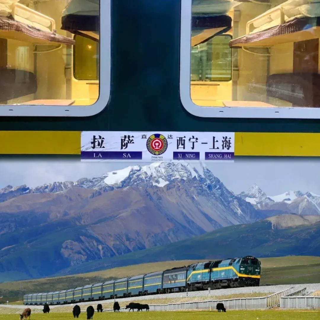 c67fbd095dec80697430b013948cbaae-sz_1861013