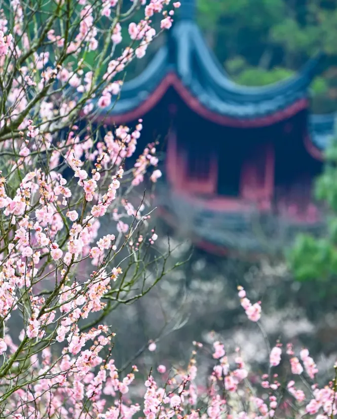 c6832bd0a5c9ab55892dec160c19623b-sz_1047540