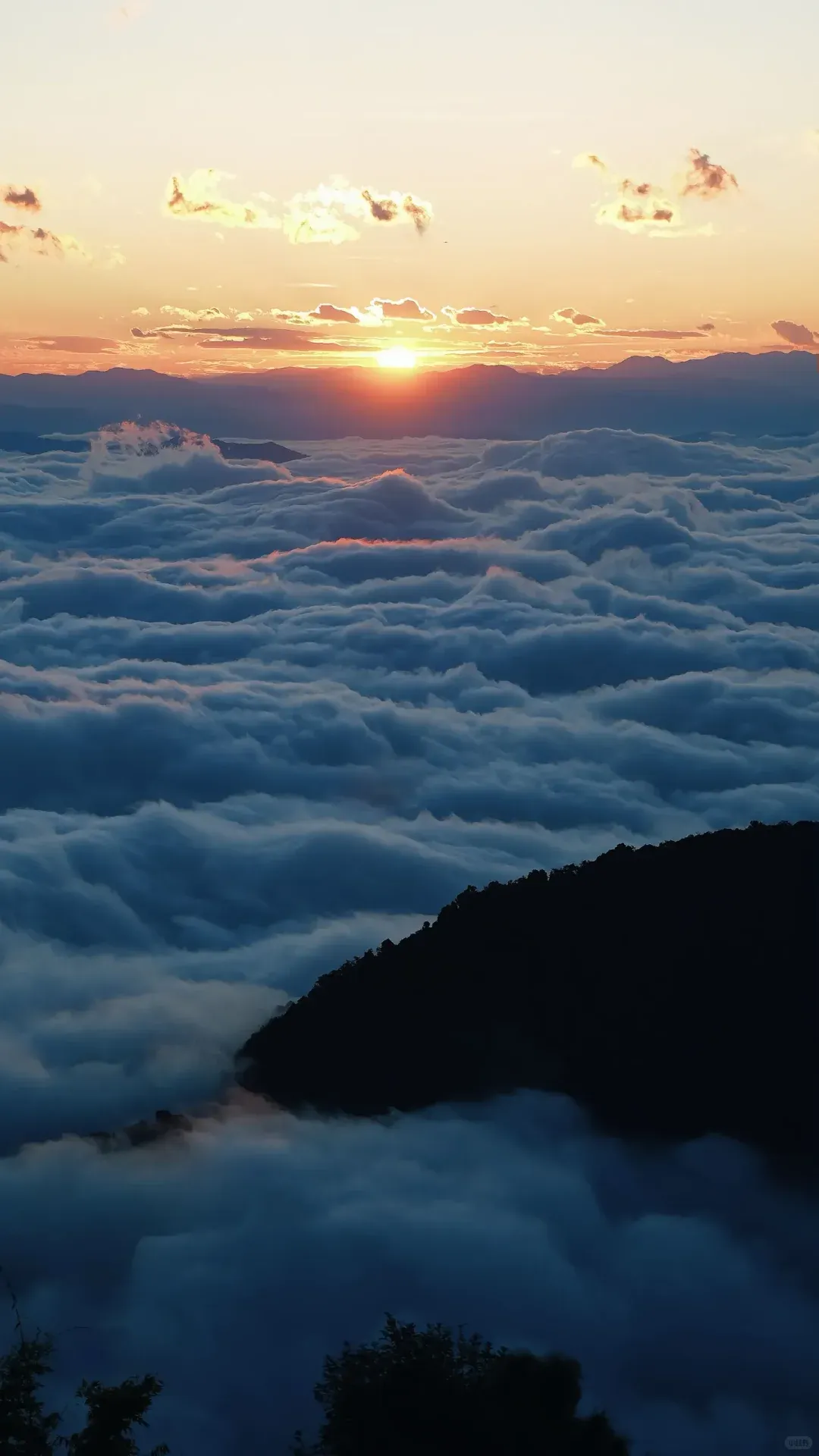 c6df3ca8efb72ed00a4b6f717b86d692-sz_1436605-1