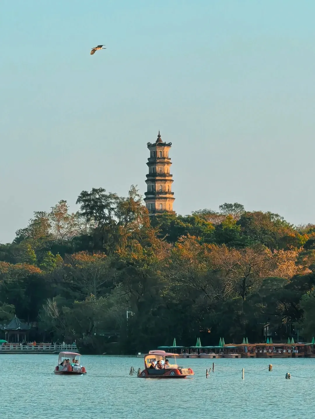 c74cbc8ac47b5f4a5a15711cf77e5dbc-sz_367078