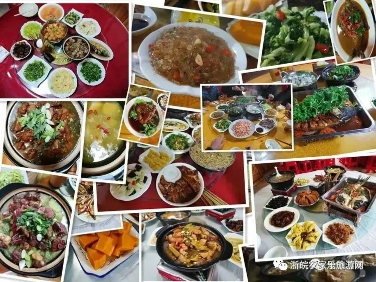 c759fc4dfed63a4b1e4c1e44cc0467ee-sz_337644