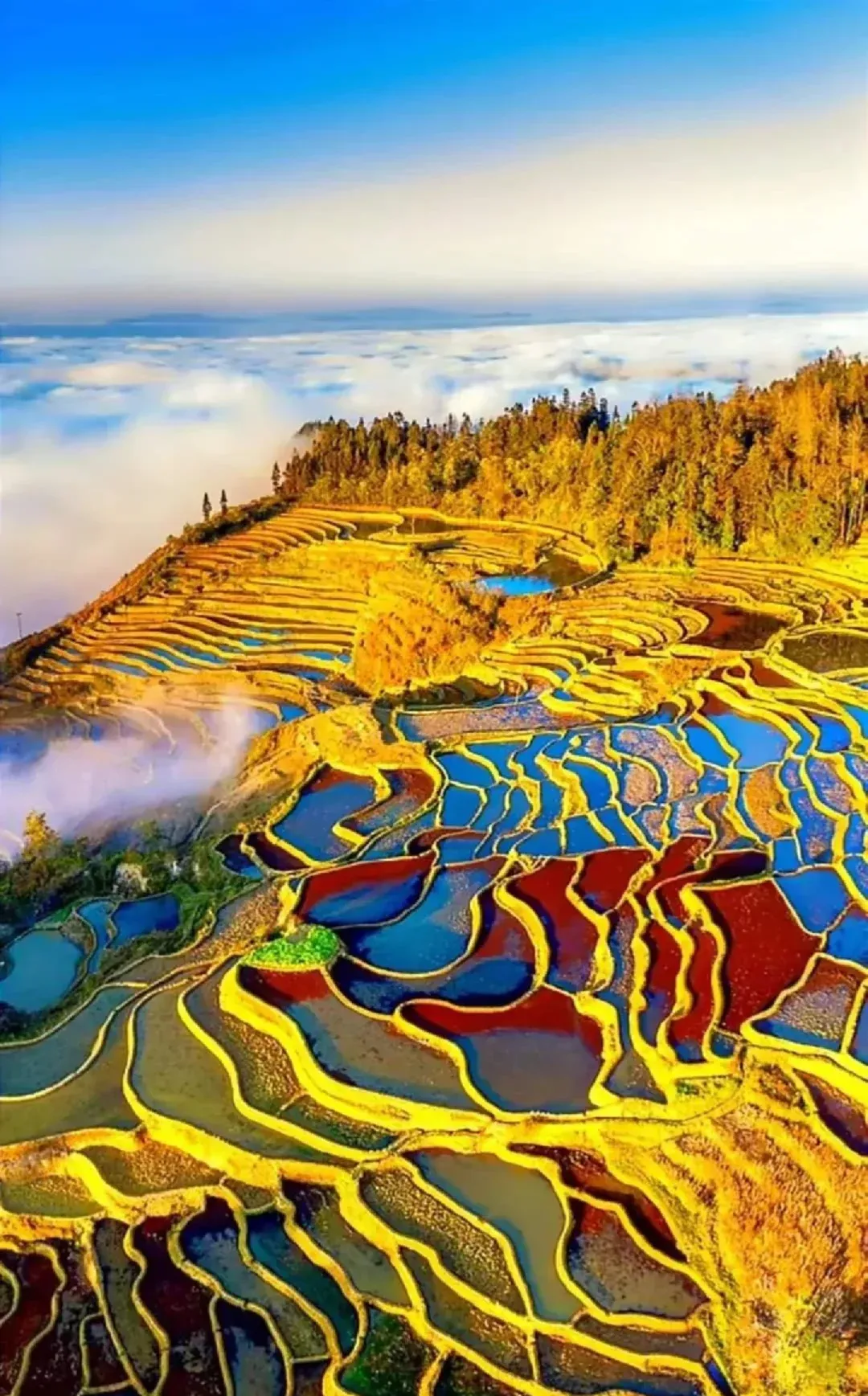 c765bcc8535aae980483bc8b7e69f920-sz_4386965-1