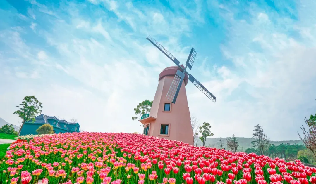 c7e1ff6c7b8f1202e2a59e9f57b7f2c6-sz_1217739