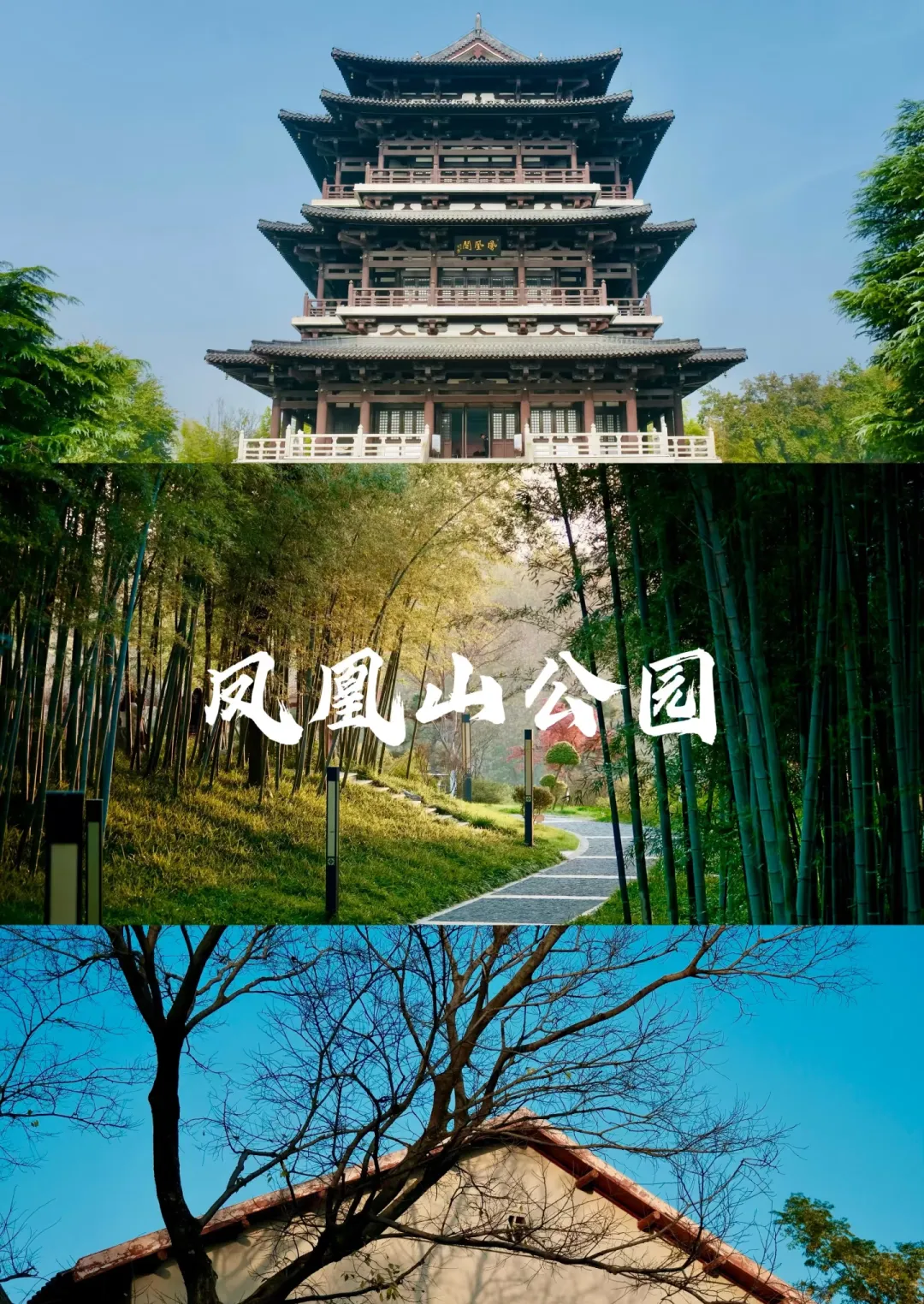 c7e4cb966f1777eb2ceeaae065b82e70-sz_2209819