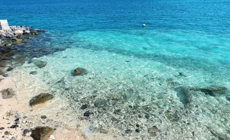 c7fd021b5f57f1daeda00996eec4fcd3-sz_769542