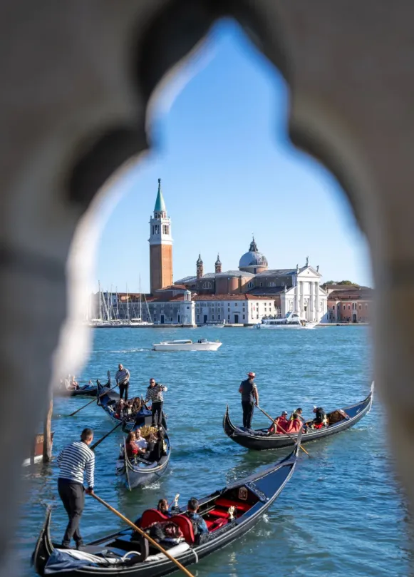 c803a102c2b5e46af19379501aa6ce5e-sz_856023