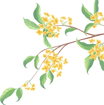 c83d384f8ae8dc80fddc6a6f78b13dc8_sz-203683